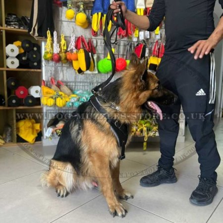 German Shepherd Padded Dog Harness for K-9 Dogs