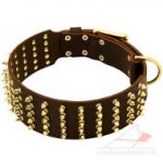 Extra Wide Dog Collar with Luxury Brass Spikes