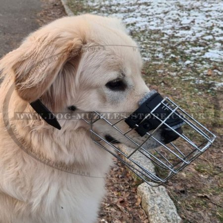 Basket Muzzle for Dog Padded | Golden Retriever Muzzle UK
