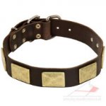 Luxury Dog Collar with Square Brass Plates for Large Dog Breeds