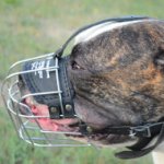 American Bulldog Muzzle Padded | Wire Dog Muzzle for Bulldog