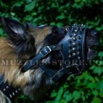 Soft Padded Dog Muzzle Loop with Spikes for Tervuren