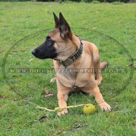 Rubber Dog Ball on Rope for Medium and Large Dogs Training