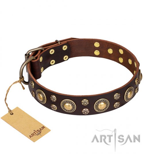 Best Brown Studded Dog Collar FDT Artisan 'Flower Melody'