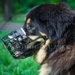 Rubberized Wire Dog Muzzle for Mastiff and Other Big Dogs