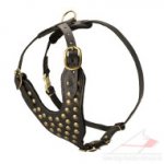 Studded Dog Harnesses for Sale | Luxury Dog Harness UK