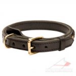 Best Dog Collar Braided and Made of Double Folded Leather