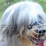 Wire Dog Muzzle for South Russian Shepherd