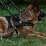 Best Guide Dog Harness for German Shepherd