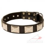 Large Leather Dog Collar with Nickel Plates