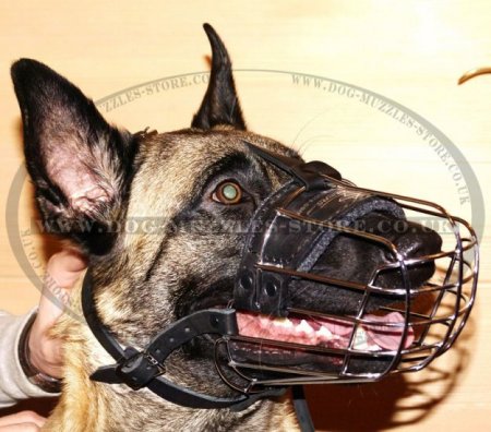 The Best Muzzles for Dogs UK for Small Medium and Big Dogs Sizes
