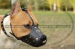 Durable Leather Padded Dog Muzzle For Staffordshire Bull Terrier