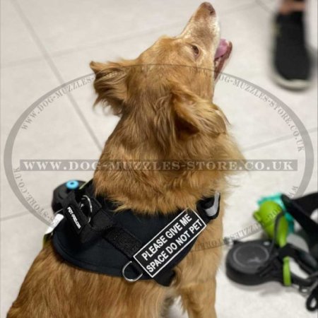 Light-Reflecting Heavy Duty Nylon Dog Harness with Handle