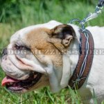 Handmade Dog Collars with Painting Wire for English Bulldog