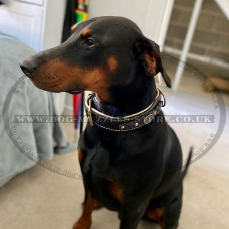 Luxury Leather Dog Collar | Large Dog Collar of Exclusive Design