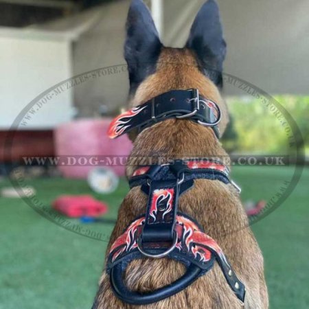 Handmade Dog Harness "Flame" | Luxury Dog Harness UK Painted