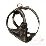 Padded Leather Dog Harness with Handle Painted WIRE Design