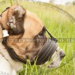 Bark Stopper Dog Muzzle Loop for Big Dogs Like Alabai