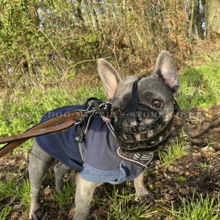 French Bulldog Muzzle UK | Leather Dog Muzzle for Frenchie