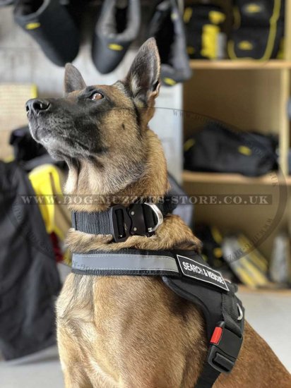 Light-Reflecting Heavy Duty Nylon Dog Harness with Handle