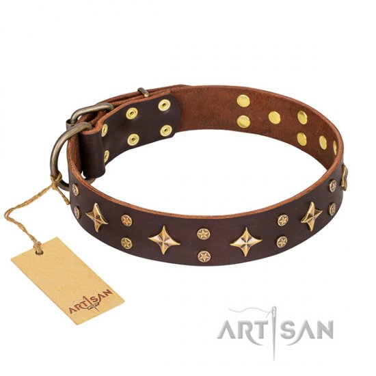 New Handcrafted Dog Collar FDT Artisan 'High Fashion'