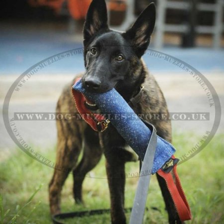 Best Bite Tug for Dogs with 2 Convenient Handles