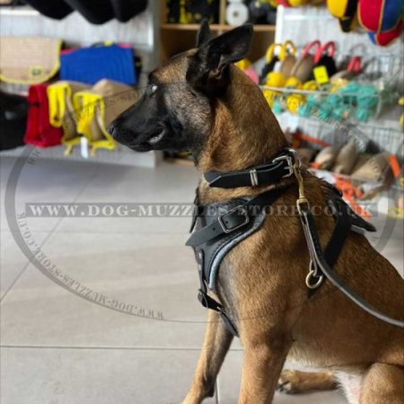German Shepherd Padded Dog Harness for K-9 Dogs