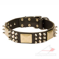 Amazing Dog Collar with Brass and Nickel Plated Decorations