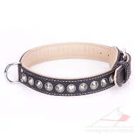 "Cone" Elegant Black Real Leather Dog Collar With Shiny Studs