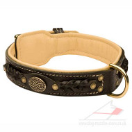Luxury Braided Leather Dog Collar