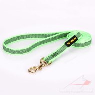 Extra Durable Nylon Training Lead For Dogs 0.8 In Width