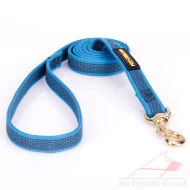 New! Royal Blue Dog Leash For Strong Dog Walking And Training