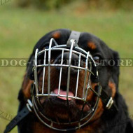 cage for rottweiler cage muzzle for rottweiler rottweiler muzzles uk cage for rottweiler cage muzzle for rottweiler rottweiler muzzles uk