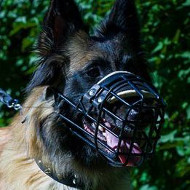 Comfortable Belgian Tervuren Dog Muzzle with Rubber Coating
