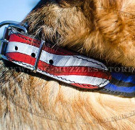 Hand-Painted Dog Collar US Straps and Stars