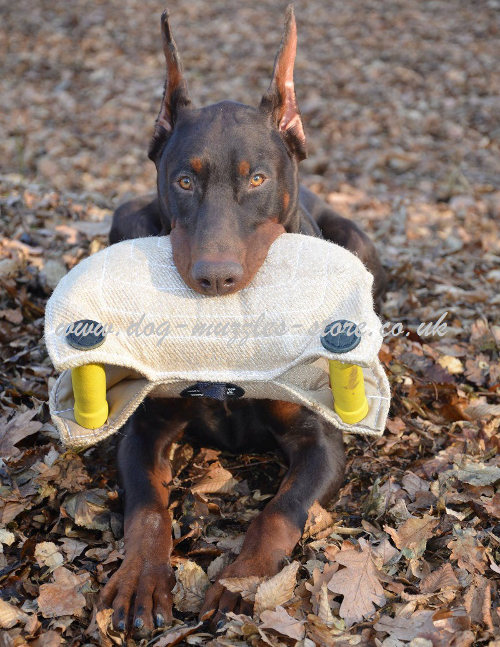 Puppy Training Pad for Schutzhund