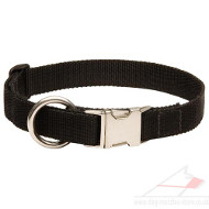 Nylon Collars for Dogs New 2014 | New Dog Collar with Buckle
