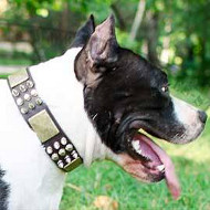 Dog Collars UK for American Staffordshire Terrier Royal Style
