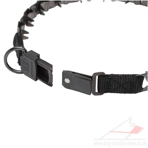 Herm Sprenger Dog Prong Collar