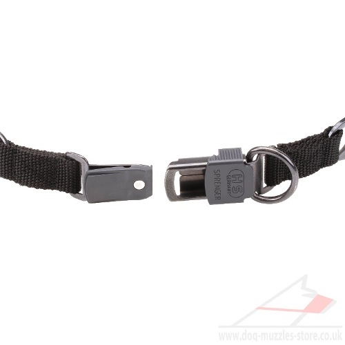 buy pinch collar for dogs