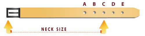 what size dog collar chart