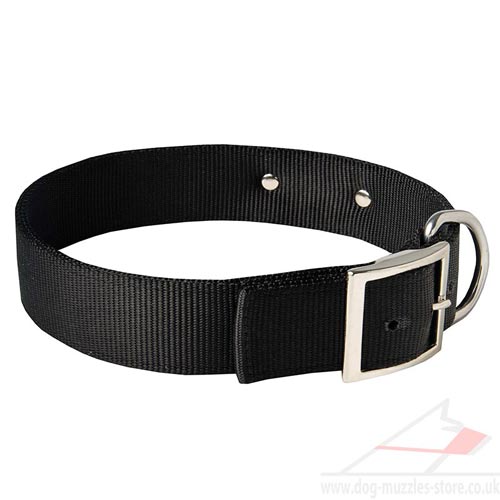 personalized dog collar UK