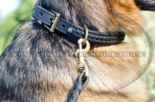 Buy German Shepherd Collar