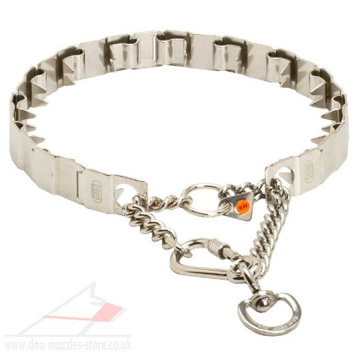 stainless steel prong collar for sale