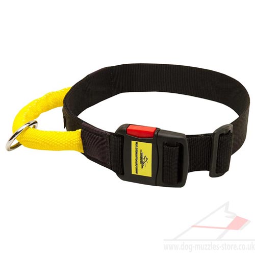 Strong Dog Collar with Handle