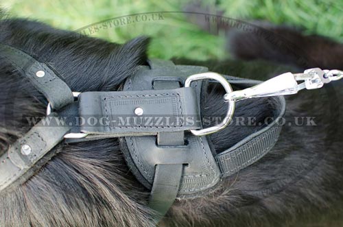 German Shepherd Padded Dog Harness