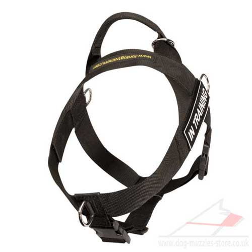 non pull dog harness