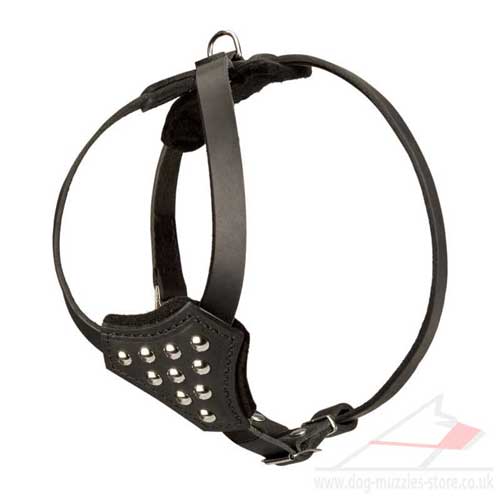 soft dog harness for small dog