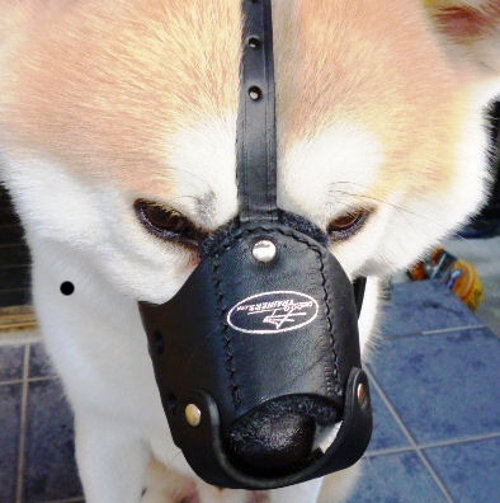 Leather Dog Muzzle for Training