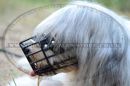 Dog basket muzzle